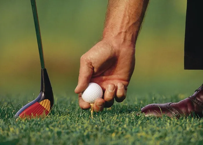 Cozy In With Sauna * Gross Markow